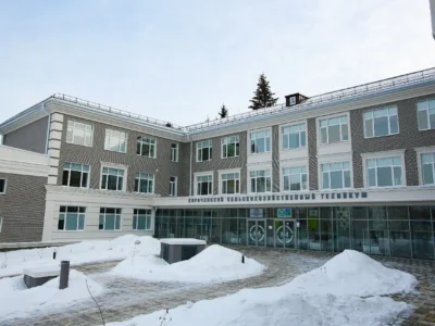 Кирпич 203